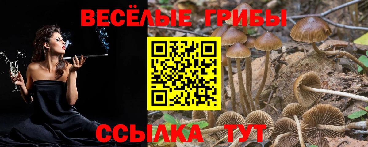 Галлюциногенные грибы Magic Shrooms Белово